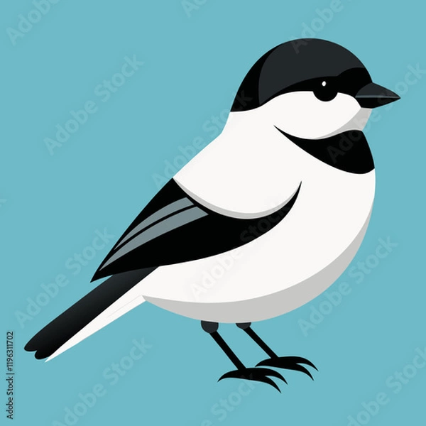 Obraz black  capped chickadee vector illustration