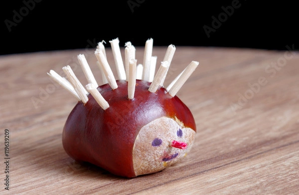 Obraz Hedgehog from chestnut