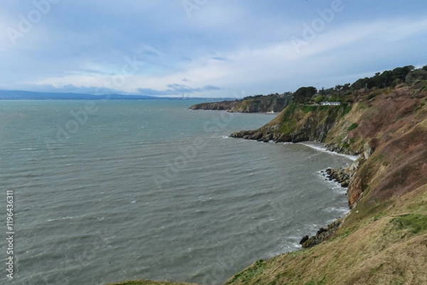 Fototapeta Rugged coastline in Howth, Dublin, Ireland under grey overcast sky. Steep cliffs covered in dry vegetation drop down to choppy Atlantic Ocean. Wild windswept beauty. Peaceful solitude, coastal beauty
