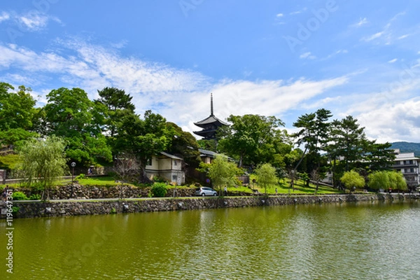 Obraz 猿沢池と興福寺