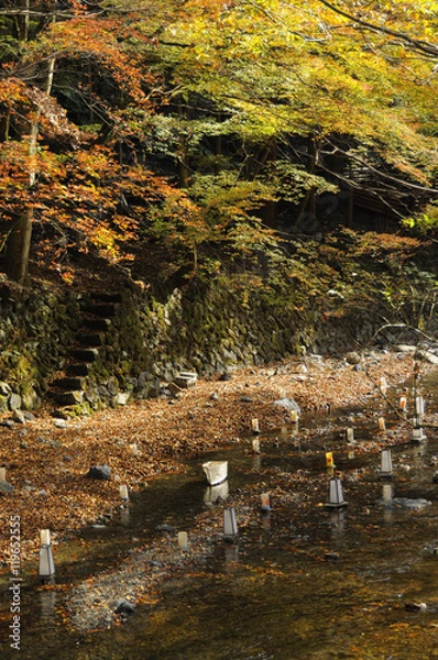 Obraz 京都の川灯篭