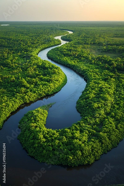 Obraz Lush Green Forest River Winding Through Nature