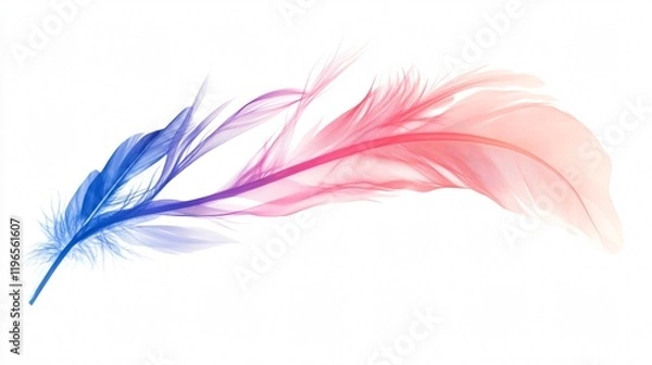 Fototapeta A Colorful Feather: A Delicate Dance of Light and Color