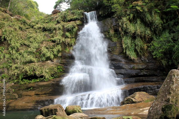 Fototapeta ジャングルトレッキング