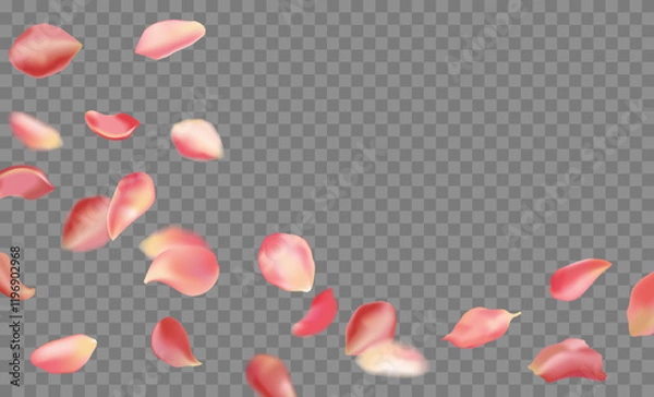 Fototapeta Red rose and cherry blossom falling sakura petals on fake transparent background, isolated special effect. Vector illustration in eps format. Elements for Valentine's Day, Mother's Day, March 8. Love.