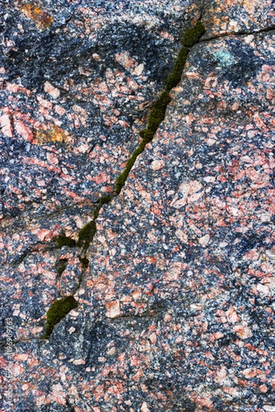 Fototapeta Structure pink granite with a split moss-grown