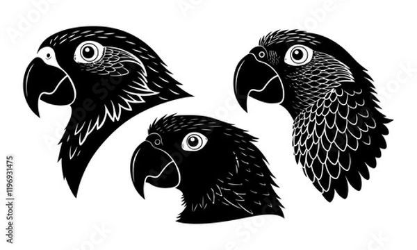 Obraz set of parrot head black  silhouettes vector
