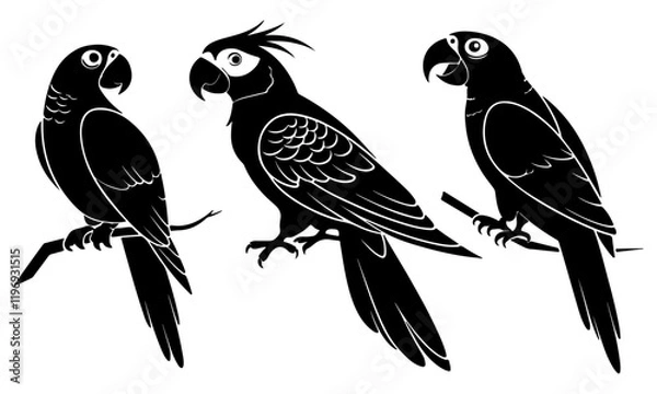 Obraz set of parrot black  silhouettes vector