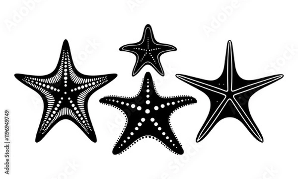 Obraz set of starfish  silhouettes vector