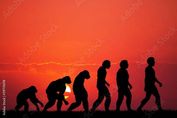 Fototapeta Human evolution