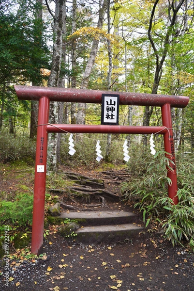 Obraz 富士山の麓の富士吉田にある新屋山神社