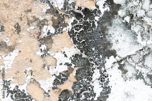 Fototapeta white concrete wall texture