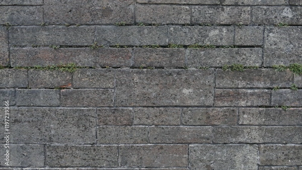 Obraz Brick wall texture
