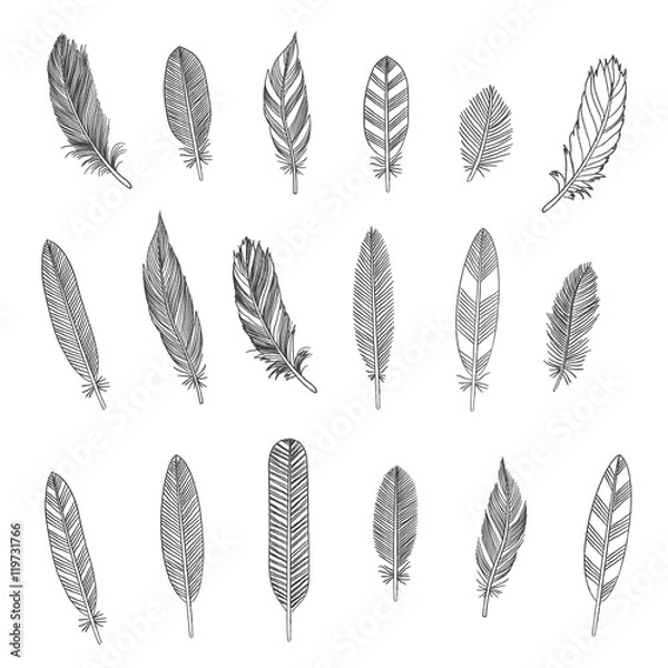 Obraz Rustic Feathers 