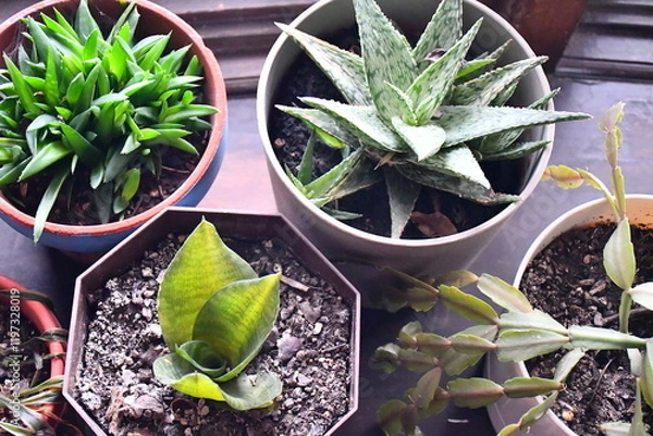 Fototapeta Green Plants