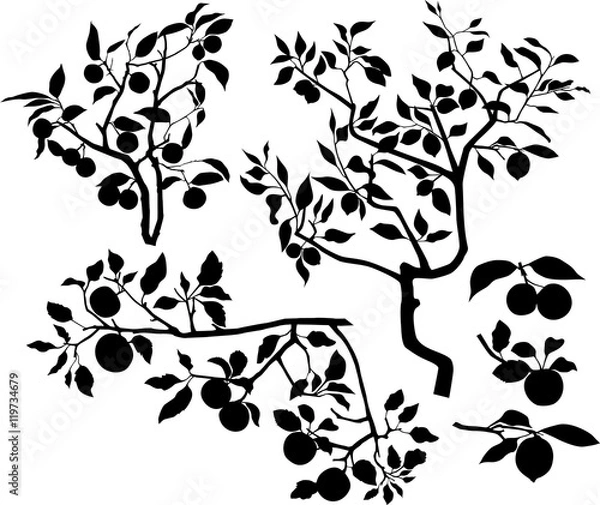 Fototapeta Set of branches with fruits