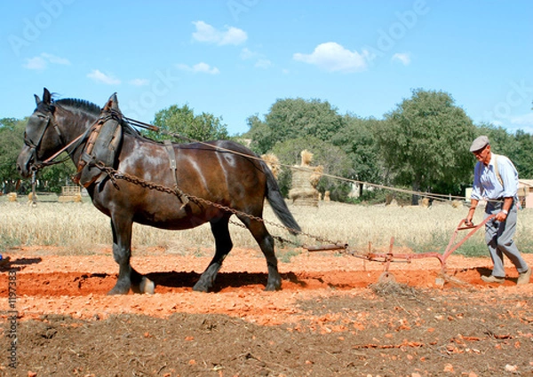 Obraz laboureur et son cheval