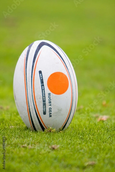 Obraz Rugby ball