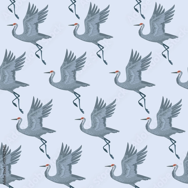 Obraz cranes birds background