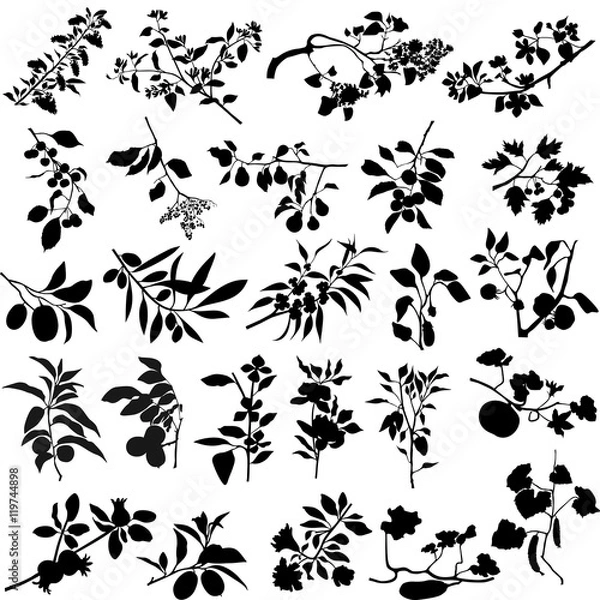 Obraz Fruit trees and vegetables