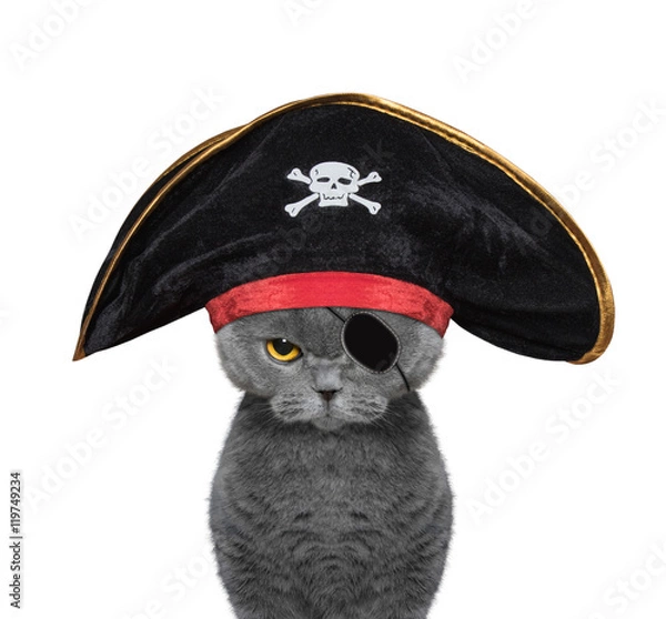 Fototapeta słodki kot w stroju pirata