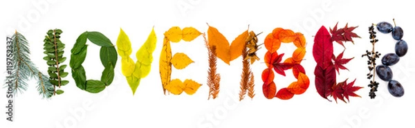 Fototapeta Sign "November" made of autumnal natural objects. Colorful leaves and mushrooms arranged into the "November" text. Autumnal mood.