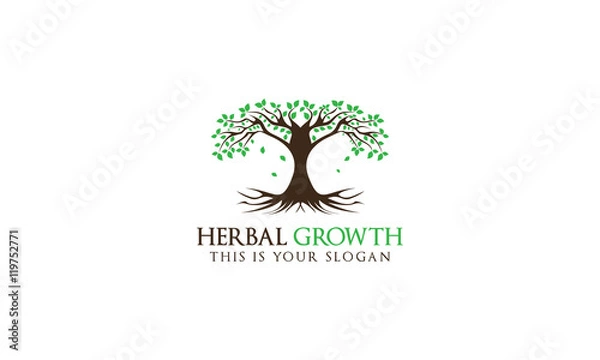 Obraz Creative Tree Logo