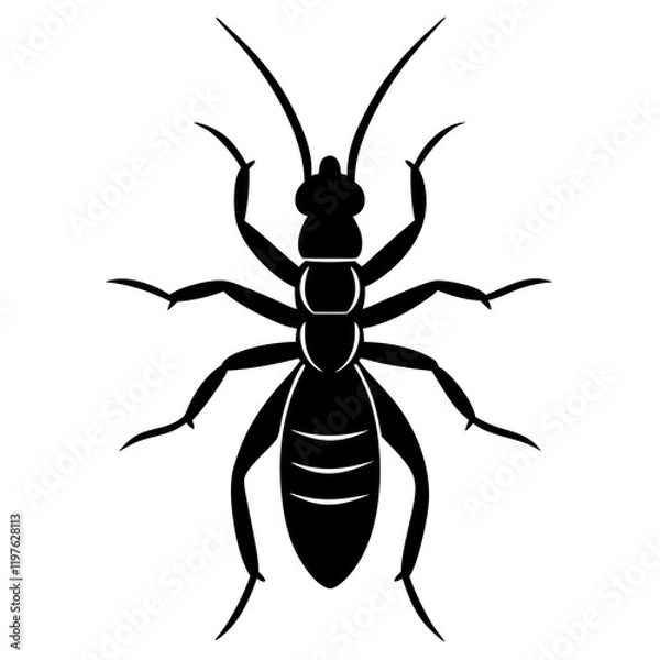 Obraz black and white beetle