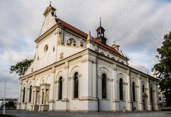 Obraz Zamojska Katedra