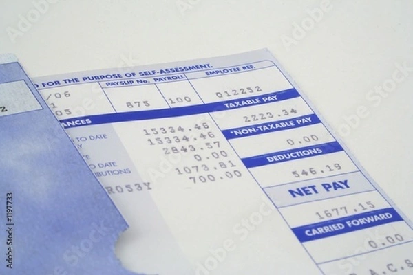 Obraz payslip