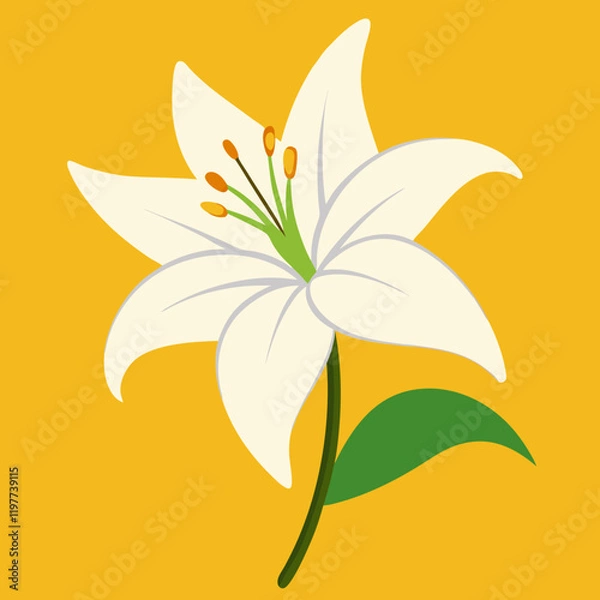 Obraz lily flower vector illustration