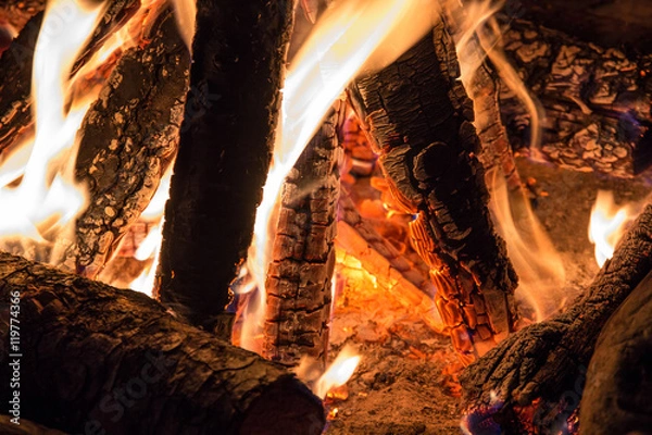 Obraz Camp fire in the nigth