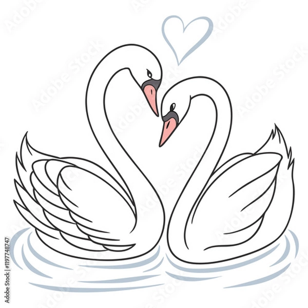 Fototapeta a pair of intertwined swans forming a heart with-t