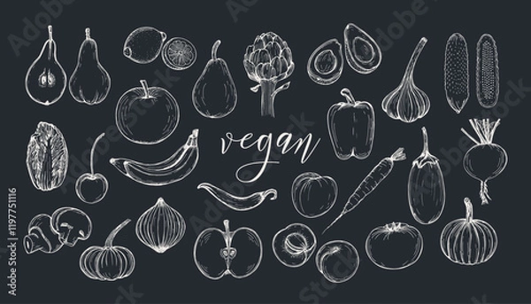 Fototapeta Fruits and vegetables sketch outline illustration collection. Simple doodle drawing set in engraving style. Hand drawn vector line art clipart isolated on a white background