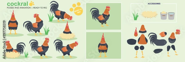 Obraz Rooster character, poultry chicken cockerel ready to animate and rig cartoon vector
