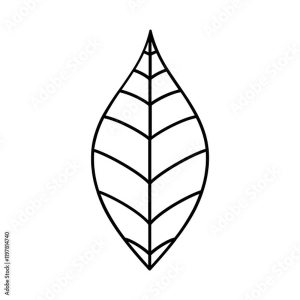 Fototapeta icon leaf