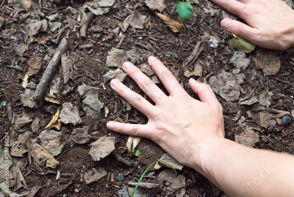 Fototapeta 土を触る女性の手