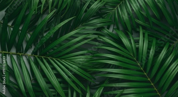 Fototapeta Leafy green plant with many leaves