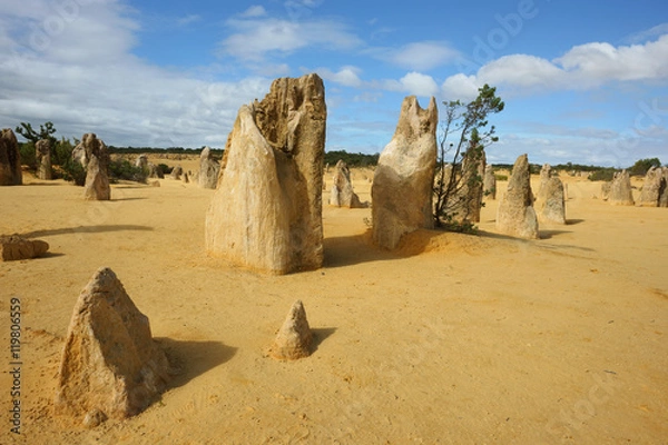 Fototapeta Pinnacles desert
