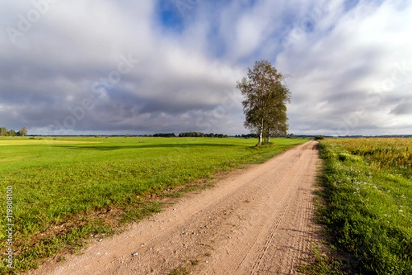 Fototapeta Polna droga