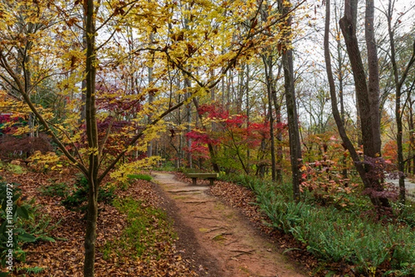 Fototapeta The path less traveled in the Japanese Garden in the fall graced with yellow and red leaves.