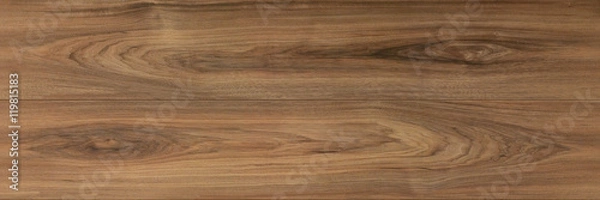 Obraz Natural wood texture and surface background