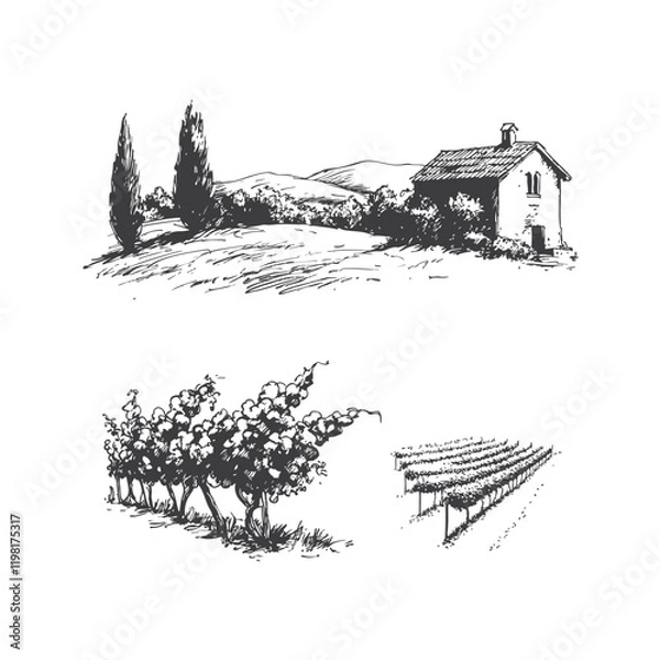 Obraz Greek Vineyards landscapes sketched abstract digital illustration