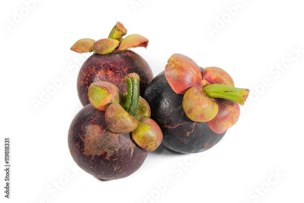 Obraz Mangosteen
