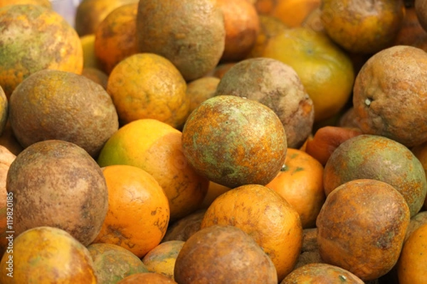 Obraz Organic orange.