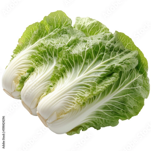 Obraz Chinese cabbage isolated on transparent background