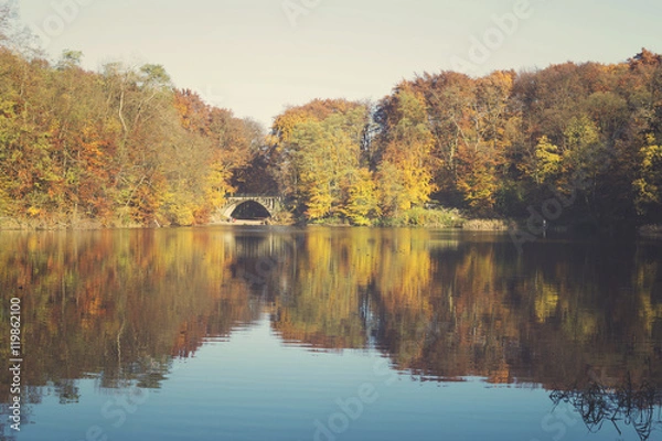 Fototapeta Lake in autumn, colorful robes, yellowed, colorful leaves on tre