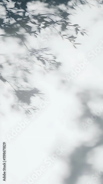 Fototapeta Abstract Shadows of Leaves Create a Serene Backdrop Gently on a White Surface.