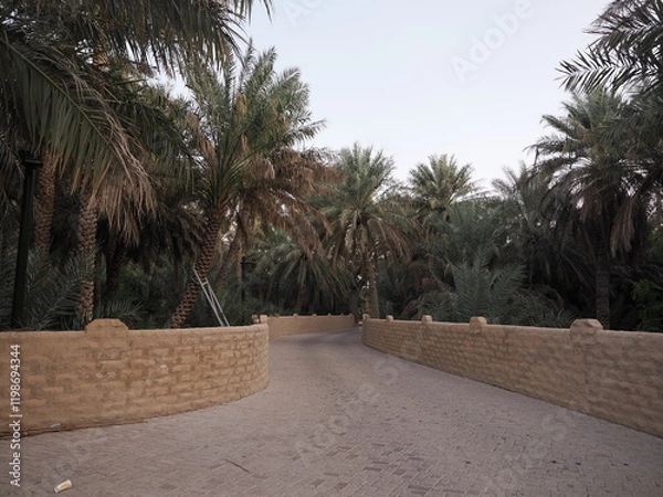 Obraz アラブ首長国連邦　世界遺産アルアインオアシス