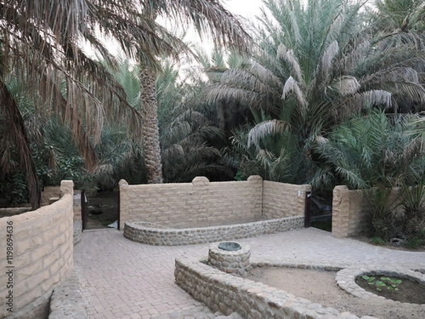 Obraz アラブ首長国連邦　世界遺産アルアインオアシス